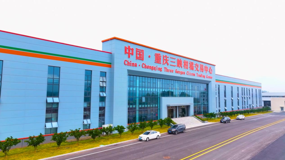上传图片
