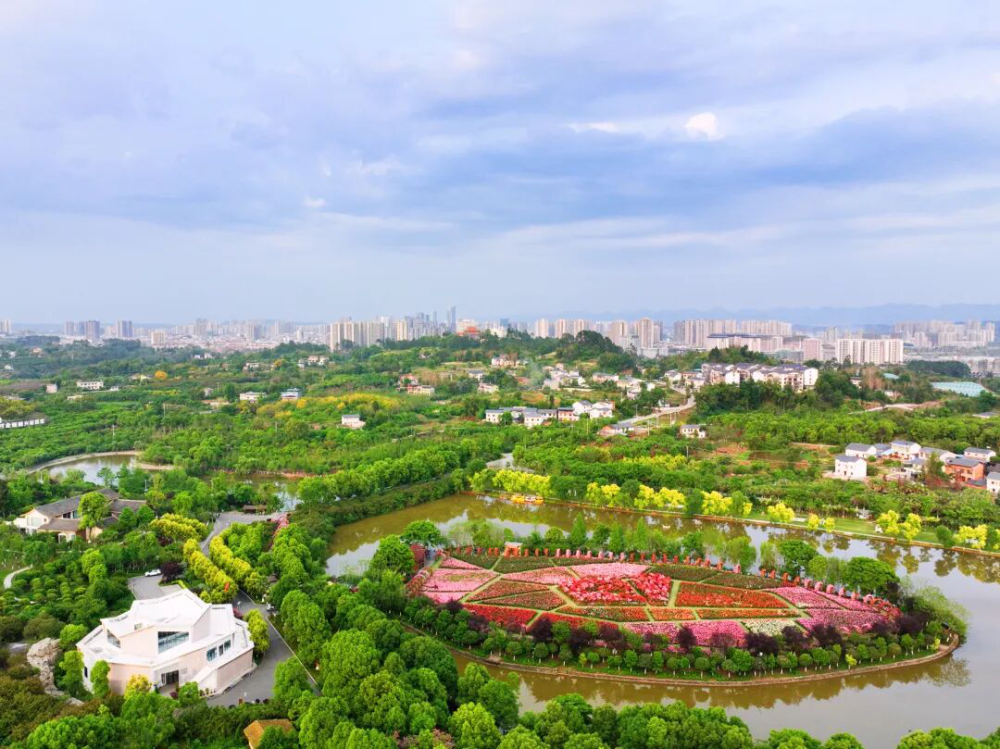 上传图片
